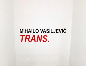 01 S Mihailo Vasiljevic Trans