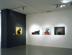 Mihailo Vasiljevic, Animals, Foto-dokumenti 02, Salon Muzeja savremene umetnosti, Belgrade, 2012