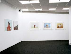 Mihailo Vasiljevic, Animals, Gradska Galerija, Pozega, 2012, 001