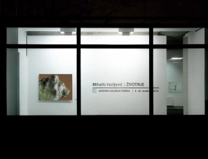 Mihailo Vasiljevic, Animals, Gradska Galerija, Pozega, 2012, 001a
