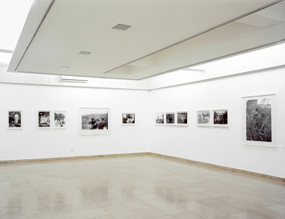 Mihailo Vasiljevic, R. V. Knows Best, Contemporary Gallery, Zrenjanin, 2013 001