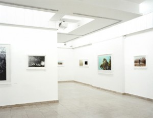 Mihailo Vasiljevic, R. V. Knows Best, Contemporary Gallery, Zrenjanin, 2013 002